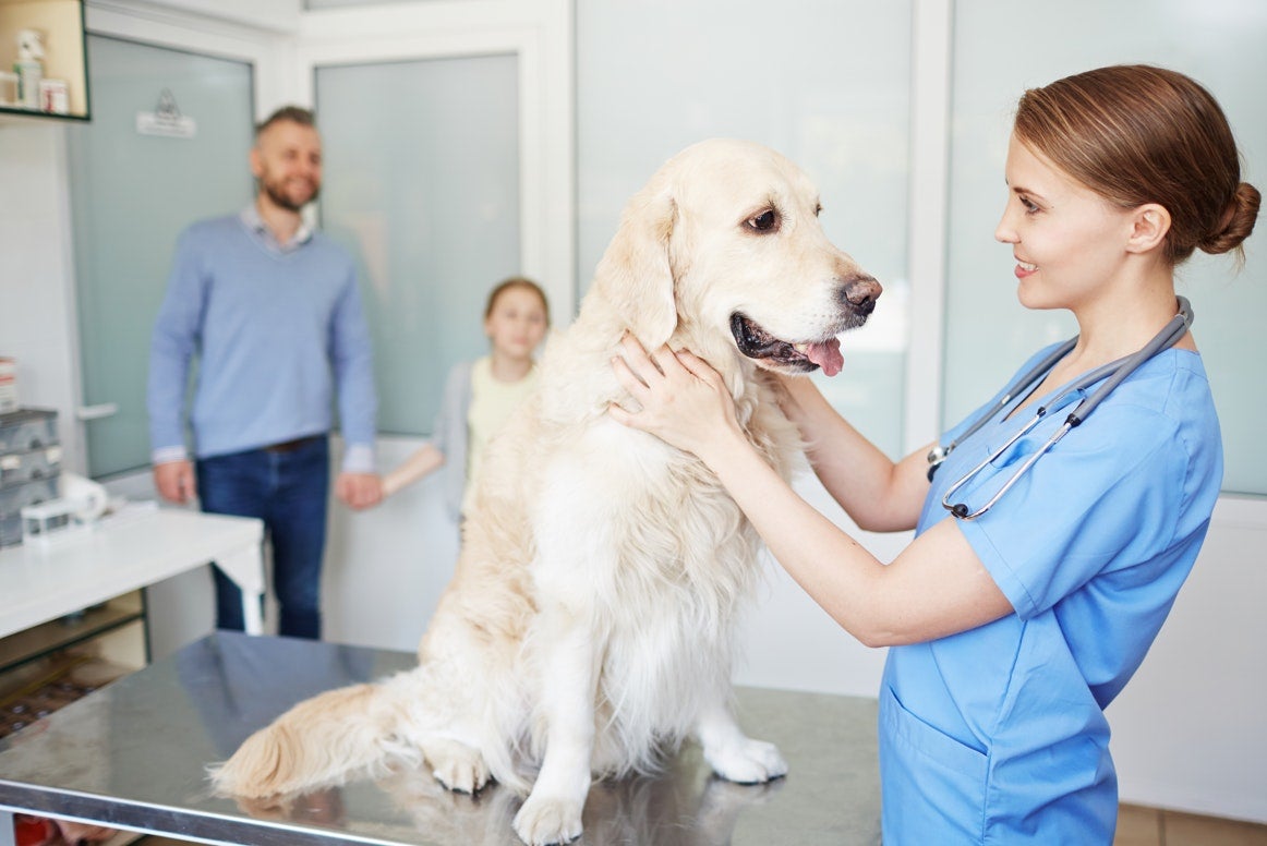 Medical Hotline | HomeAgain - HomeAgain Pet Recovery Medical Hotline | HomeAgain - HomeAgain Pet Recovery