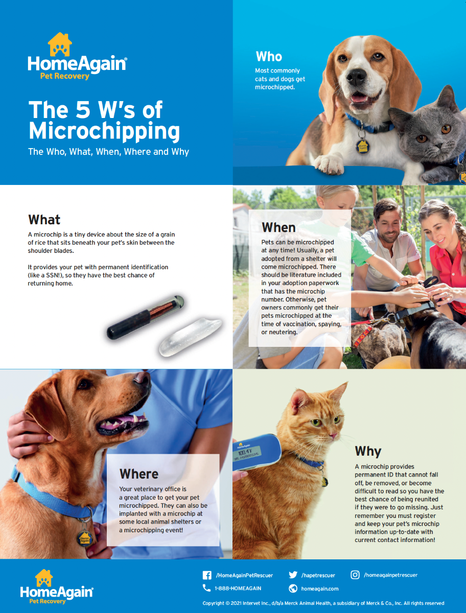 Promotional Materials HomeAgain HomeAgain Pet Recovery